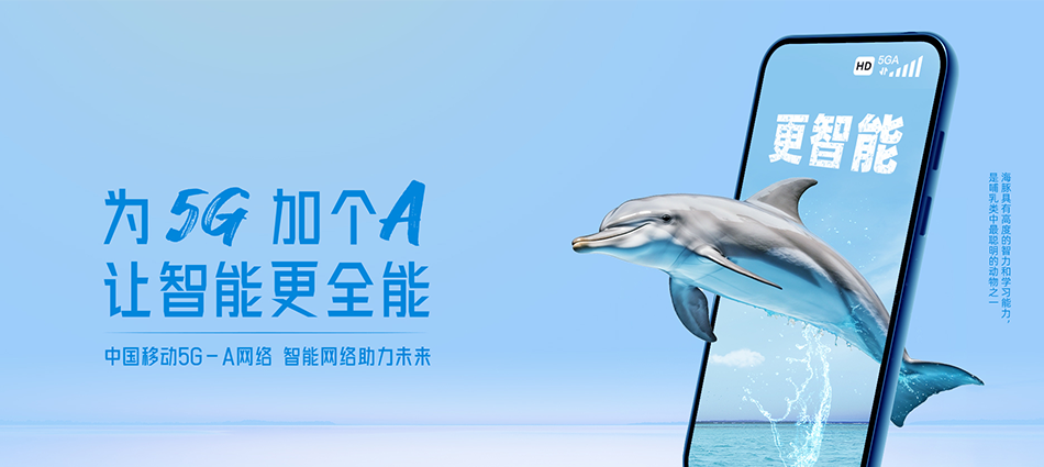 中国移动雷州市移动宽带