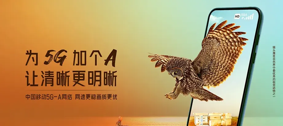 雷州市雷州市白沙镇 移动宽带